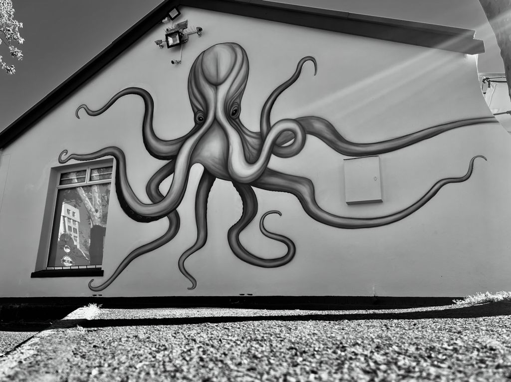 Why Bricks & Mortar Are More Important Than Ever – The story of why we built The Octopus House